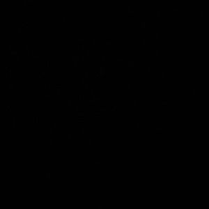 Meet your Posher, Miggle